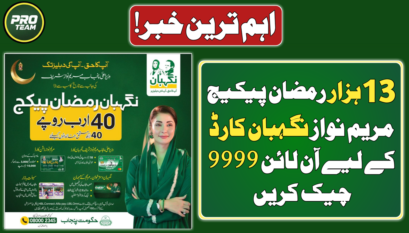 Maryam Nawaz Nigehban Card