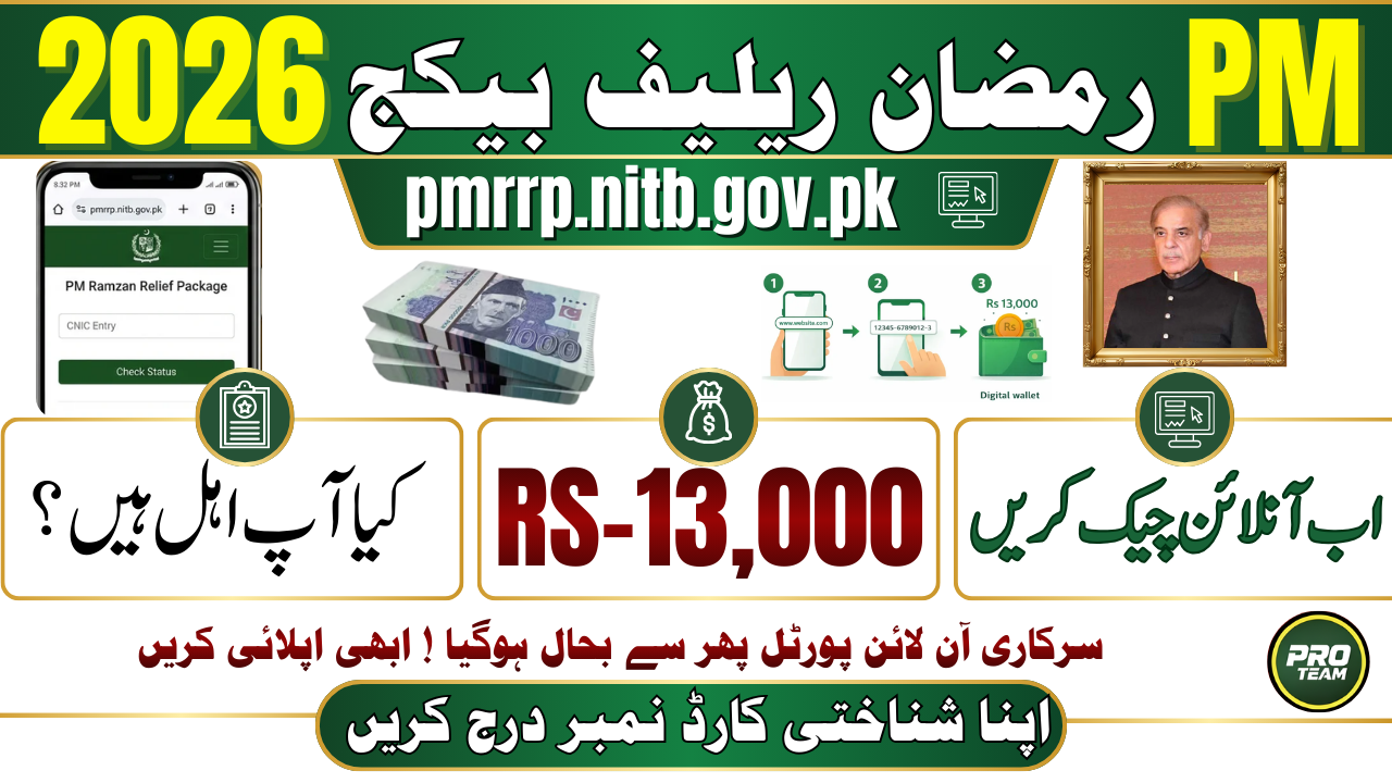 Govt Online Portal pmrrp.nitb.gov.pk